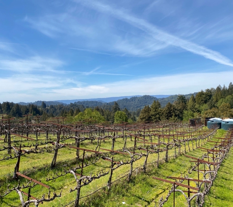 Burrell School Vineyards - Los Gatos, CA