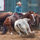Triple Crown Equestrian Center, Inc - Horse Breeders
