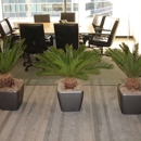 Woburn Office Plants - Plants