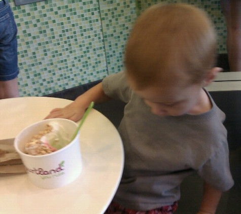 YogurtLand - Avondale, AZ