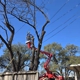 Centex Tree Solutions