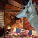 Deer Crossing Bed & Breakfast - Bed & Breakfast & Inns