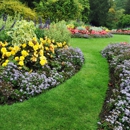 Shamrock's Landscaping & Lawn Care - Landscaping & Lawn Services