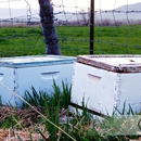 Bear Country Bees - Beekeeping & Supplies