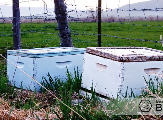 Bear Country Bees - Salem, UT