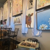 Jarrod's Coffee, Tea & Gallery gallery