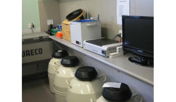 Colyton Veterinary Hospital - Oxley Park, NSW
