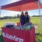 Julie Stoll - State Farm Insurance Agent