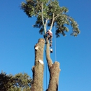 Alan's Tree Removal - Tree Service