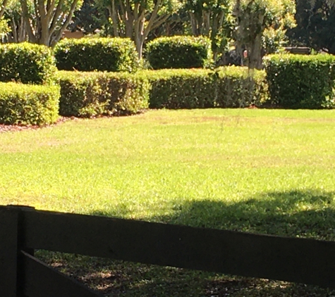 James Lawn Service - Bronson, FL