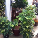 Van Winden Garden Center - Garden Centers