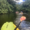 Wailua River State Park gallery