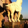 P.F. Chang's China Bistro gallery