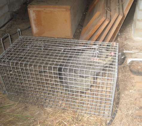 Dr Maks Pest Control - Macgregor, ACT