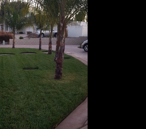 Aldama's Garden Maintenance - Moreno Valley, CA