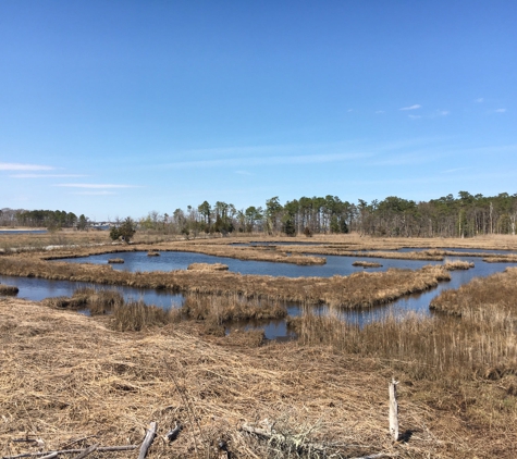 Cattus Island County Park - Toms River, NJ