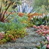 Paul Viers Landscaping gallery