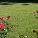 Custom Sod & Irrigation - Lawn Maintenance