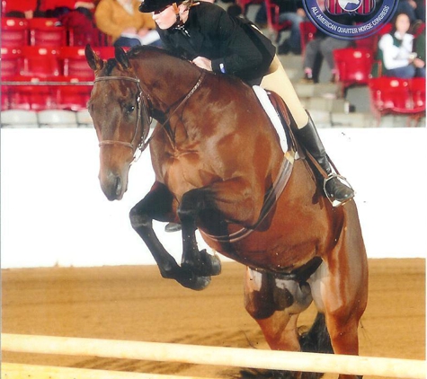 Sunset Ridge Performance Horses - Columbus, WI