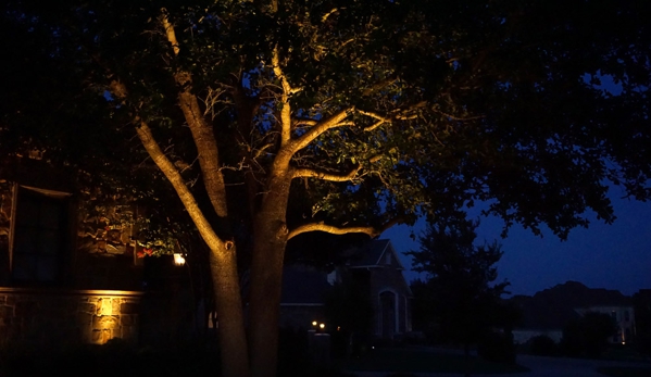 Dallas Landscape Lighting - Dallas, TX. Uplight on tree lighting by Dallas Landscape Lighting