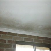 Gallery Image Number 5