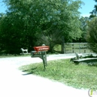 Fallen Pine Ranch Miniature Horses