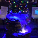 Kuchi Sushi and Hibachi - Restaurants