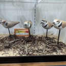 Natural History Museum - Museums