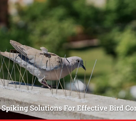 Sterling Pest Control Pty Ltd - Maroota, NSW. Bird Spiking Solutions For Effective Bird Control