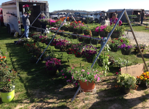 White's Farm and Flea Market - Brookville, IN