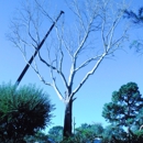 Tree Experts LLC - Tree Service