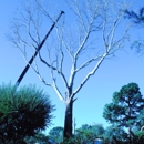 Tree Experts - Tree Service