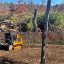 Forestry Mulching And Stump Grinding By Maine Tiller - Mulches