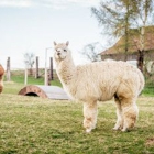 Valley View Veterinary Clinic
