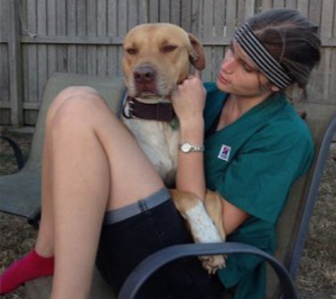 North Bundaberg Vet Surgery - Bundaberg North, QLD