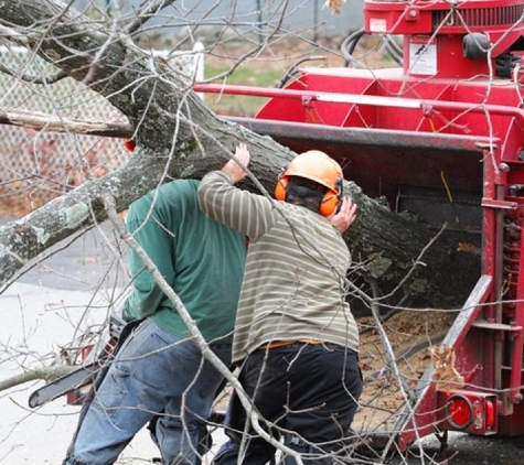 Baber's "Honest John" Tree Service, LLC - Michigantown, IN