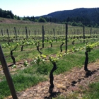 Kramer Vineyards