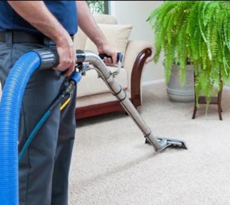 Abelia Cleaning - Bungalow, QLD