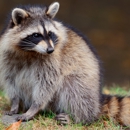 Mac's Wildlife Removal Service - Pest Control Services