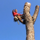 Bros Tree Service