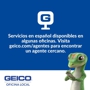 Greta Vaughan - GEICO Insurance Agent