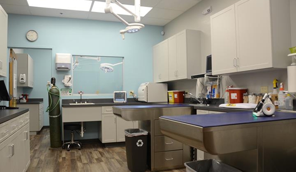 Shores Animal Hospital - Saint Augustine, FL