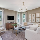 DRB Homes Provisions at Courtland - Home Builders