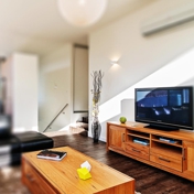 Gallery Image Number 5