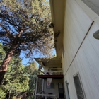Benoit's Tree Care