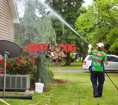 Dirty Dog Carpet, Surface and Duct Cleaning - Harrisonburg, VA