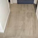 Professional Carpet Care - Upholstery Cleaners
