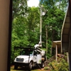 Carolina Tree Service gallery