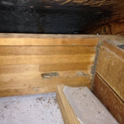 Gallery Image Number 6