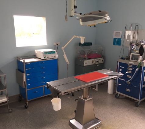 Cooper Street Veterinary Hospital - Cootamundra, NSW